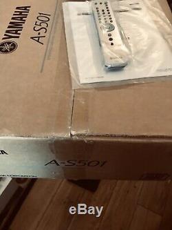 Brand New, Unused, Open boxed in Silver, A-S501 / One year Manufacturer Warranty