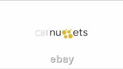 CBT Nuggets (Annual Plan One Year Warranty)(CBTnuggets)